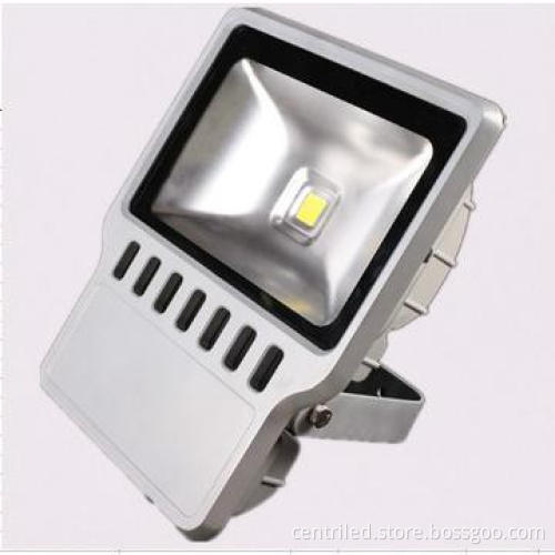 Hot Sale 100W LED Flood Light with Factory Price